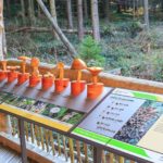 Flora und Fauna werden am Wilden Kermeter in der Eifel erklärt