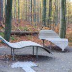 Eine kleine Ruheoase mitten im Wald am Wilden Kermeter in der Eifel