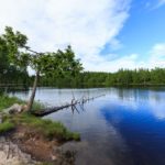 Schöner Badesee oberhalb der Holmenkollenschanze in Oslo