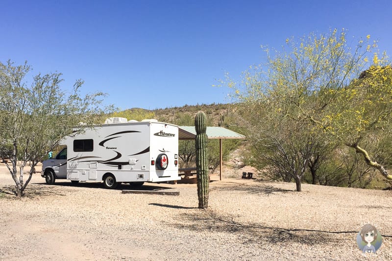 Unser Wohnmobil neben einem Kaktus auf dem Campingplatz am Lake Pleasant in Arizona