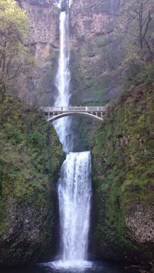 Blick auf die Multnomah Falls beim Besuch der Cascade Mountains