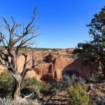 Eine tolle Landschaft am Betatakin Canyon am Navajo National Monument