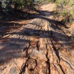 Tolle Steinformationen am Sandal Trail im Gebiet des Aussicht vom Sandal Trail Navajo National Monuments