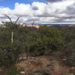 Aussicht vom Canyon View Campground im Navajo National Monument