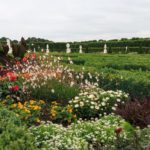 Bunte Blumen in den Herrenhäuser Gärten in Hannover