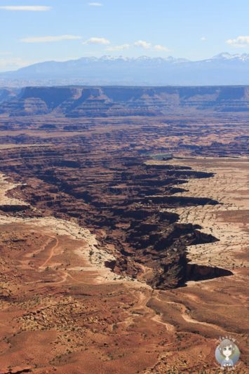 Detailaufnahme vom Canyon am Grand View Point Aussichtspunkt im Canyonlands National Park