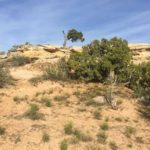 Eine tolle Landschaft umgibt das Cowboy Camp in Moab