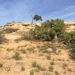 Eine tolle Landschaft umgibt das Cowboy Camp in Moab