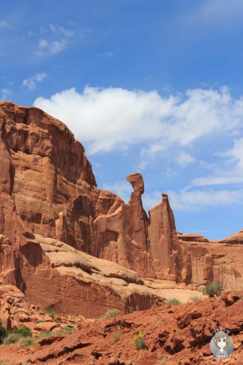 Eine faszinierende Gesteinswelt im Arches National Park
