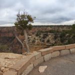 Kleine Mauer am Moran Point im Grand Canyon National Park