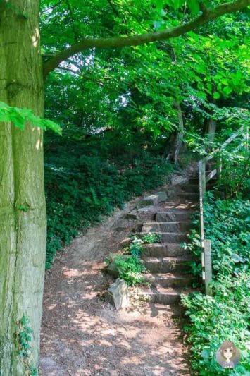 Eine schöne Wanderung über den Holzweg zum Weser Skywalk