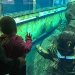 Eine Unterwasserwelt im Zoo Hannover mit Kind