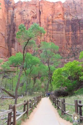Ein barrierefreier Trail im Zion National Park