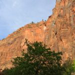 Glühende Felsen im Zion National Park