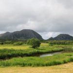 Eine grüne Landschaft um Brønnøysund in Norwegen