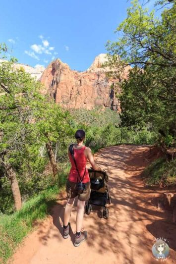 Barrierefreie Wanderung zu den Lower Emerald Pools im Zion Nationalpark