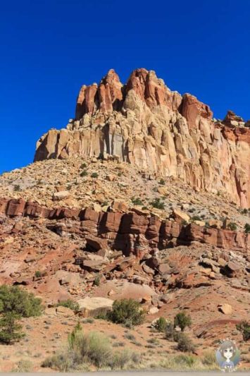 Blick auf die Zufahrt zum Capitol Gorge