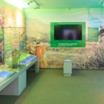Die Ausstellung im Haus Alpine Naturschau des Nationalparks Hohe Tauern