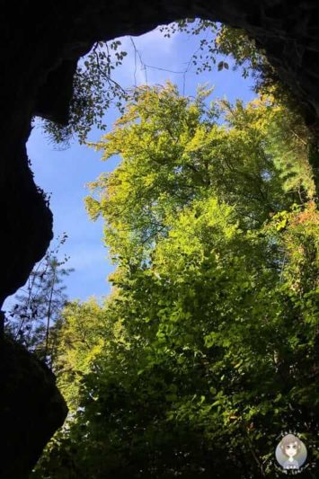 Faszinierender Blick nach oben in der Teufelsschlucht