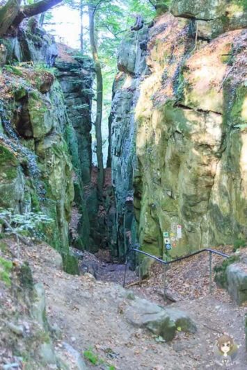 Eine Steile Treppe ist der Einstieg der Teufelsschlucht Wanderung