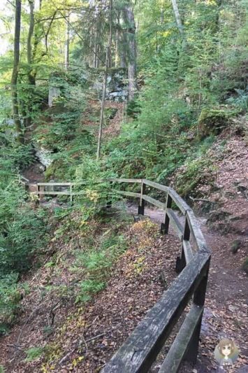 Schöner Pfad durch den Wald der Teufelsschlucht