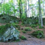 Riesige Felsbrocken im Wald der Teufelsschlucht in der Eifel