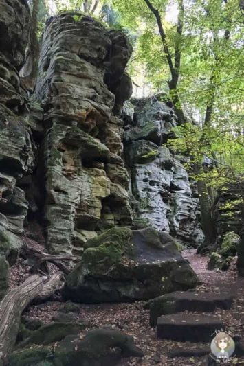 Kleiner Rundgang durch die Teufelsschlucht in der Eifel