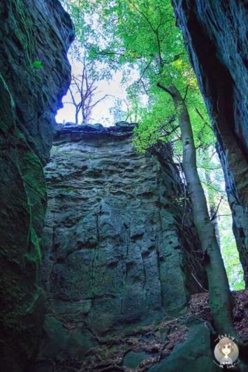 Hohe Sandsteinfelsen in der Teufelsschlucht in der Eifel