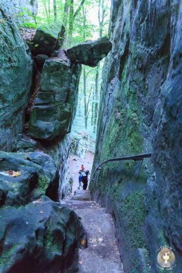 Eine Steile führt in die Teufelsschlucht