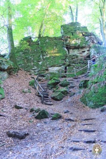 In der Teufelsschlucht gibt es viele Treppen