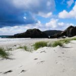 Spuren von Pinguinen am Strand von Aramoana in Neuseeland