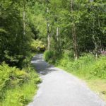 Wanderung zum Briksdalsbreen Gletscher