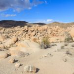 Aussicht vom Arch Rock Nature Trail im Joshua Tree National Park