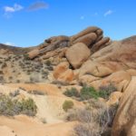 Natur am Arch Rock Nature Trail im Joshua Tree Nationalpark