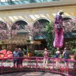 Blumen und Vogel im Hotel Bellagio in Las Vegas