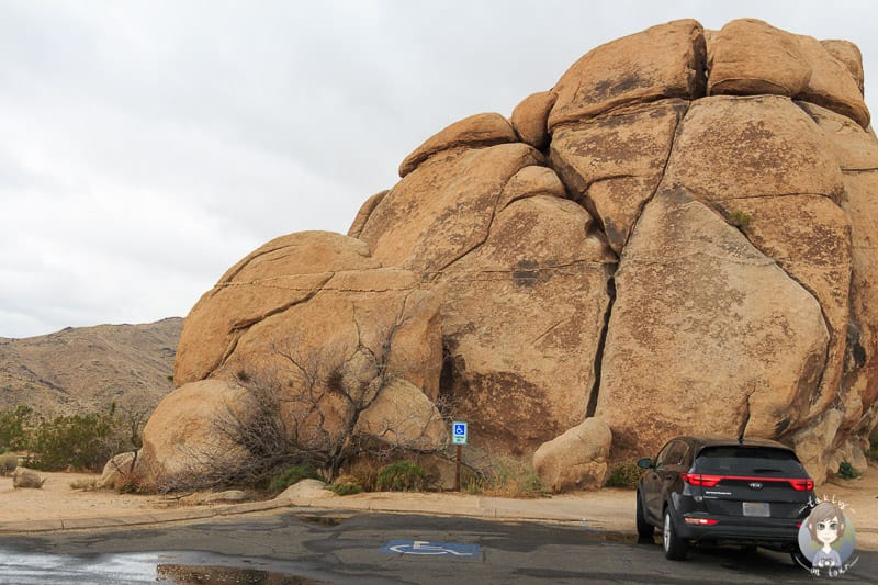 Die typischen Felsen im Joshua Tree National Park