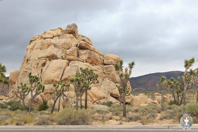 Felsformation im Joshua Tree National Park