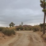 Fahrt über den Hidden Valley Campground im Joshua Tree Nationalpark