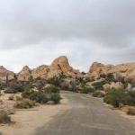 Stellplätze auf dem Hidden Valley Campground im Joshua Tree Nationalpark