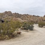 Blick über den Indian Cove Campground im Joshua Tree National Park