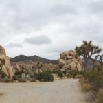 Ryan Campingplatz im Joshua Tree Nationalpark