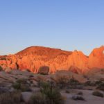 Sonnenuntergang im Joshua Tree National Park