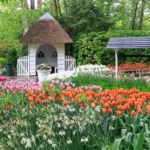 Ein kleines Häuschen zwischen Tulpen im Keukenhof dem Tulpengarten in Holland