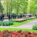 Besucher im Keukenhof in Holland