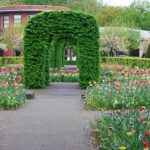 Schöner Anblick im Eingangsbereich vom Keukenhof