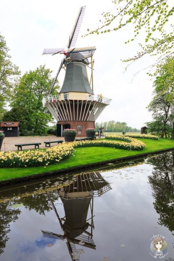 Blick auf die Mühle im Keukenhof