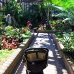 Mit dem Kinderwagen im Botanischen Garten vom Balboa Park