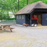 Tiere auf dem Keukenhof - Unterhaltung für Kinder