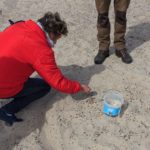 Bernsteinsuche in Hvide Sande