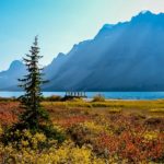 Der Bow Lake in Kanada im Herbstkleid
